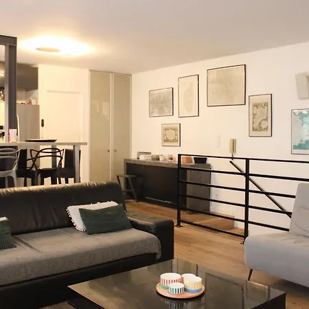 Spacious With Terrace Near The Marais Apartment Paris
